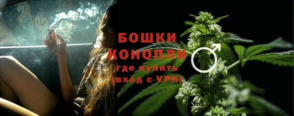 дмт Осинники