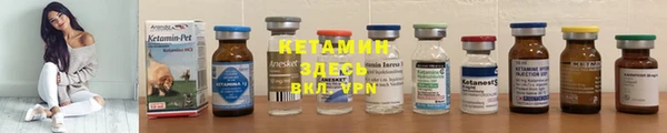 прущие грибы Няндома