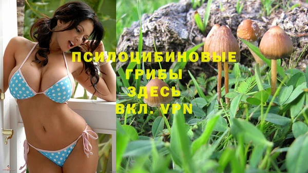 стаф Остров