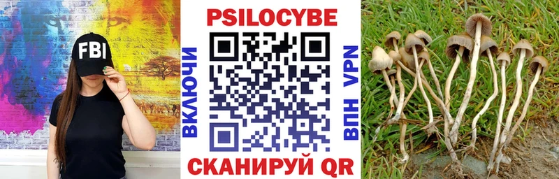 Галлюциногенные грибы Magic Shrooms  что такое   Красный Холм 